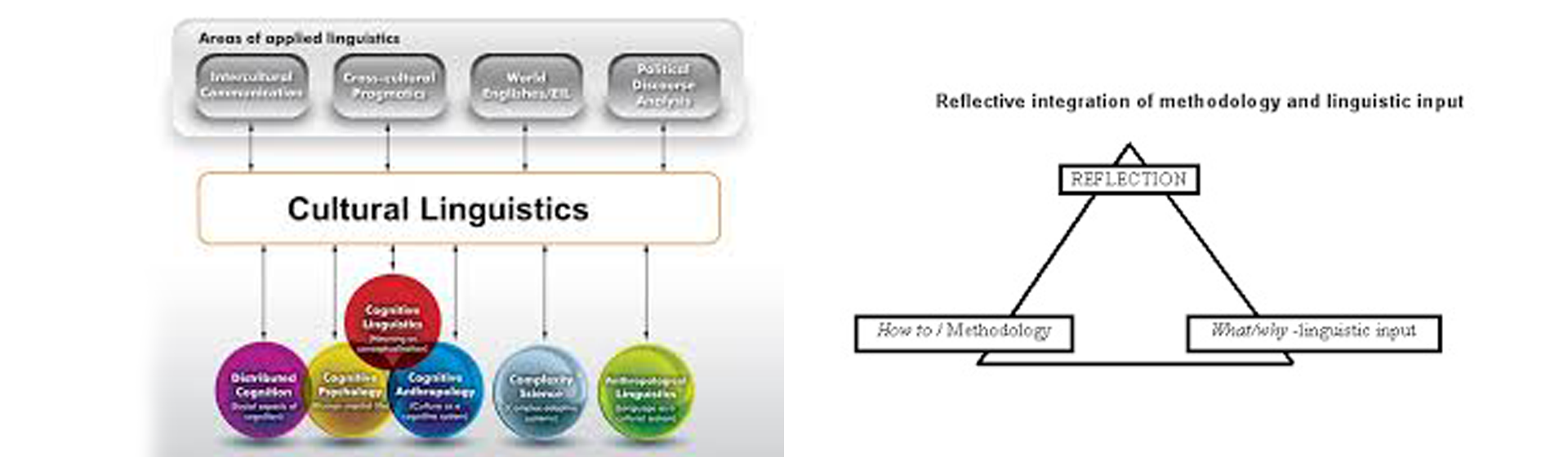 Reflective Integration of methodology and liguistics input